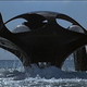 Image for article titled The Spy Who Loved Me: The Definitive Bond Movie Of The Cold War